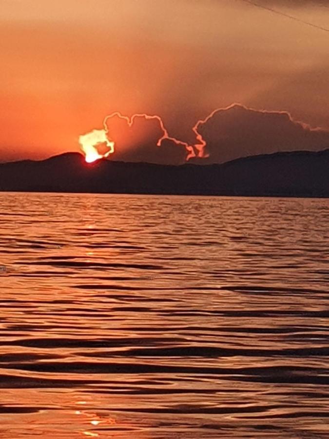 Porquerolles - Nuit Insolite A Bord Du Defi Fou Экстерьер фото